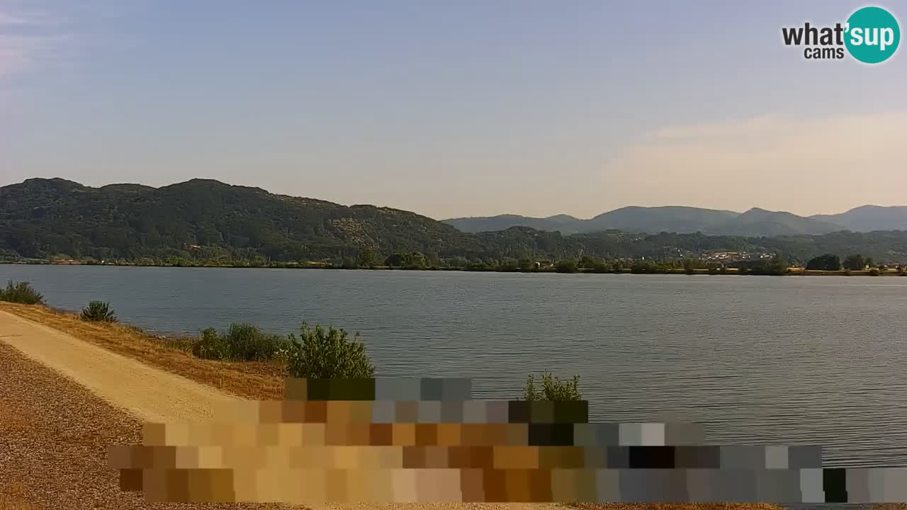 Live Webcam Brežice lake on Sava river – Slovenia