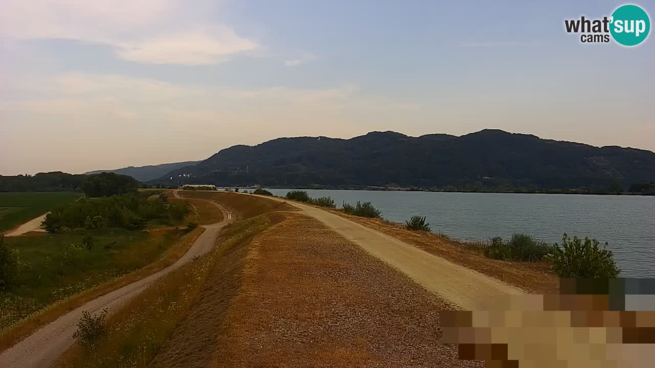 Live Webcam Brežice lake on Sava river – Slovenia