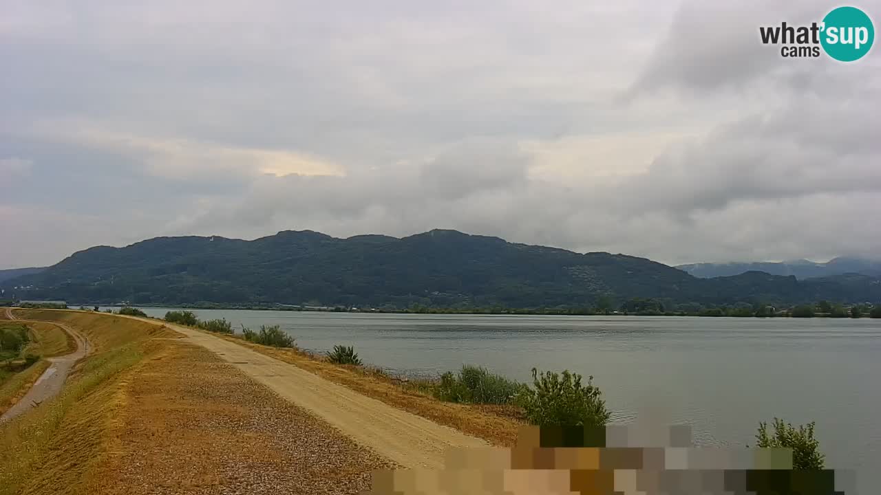 Webcam en direct Lac Brežice sur la rivière Sava – Slovénie
