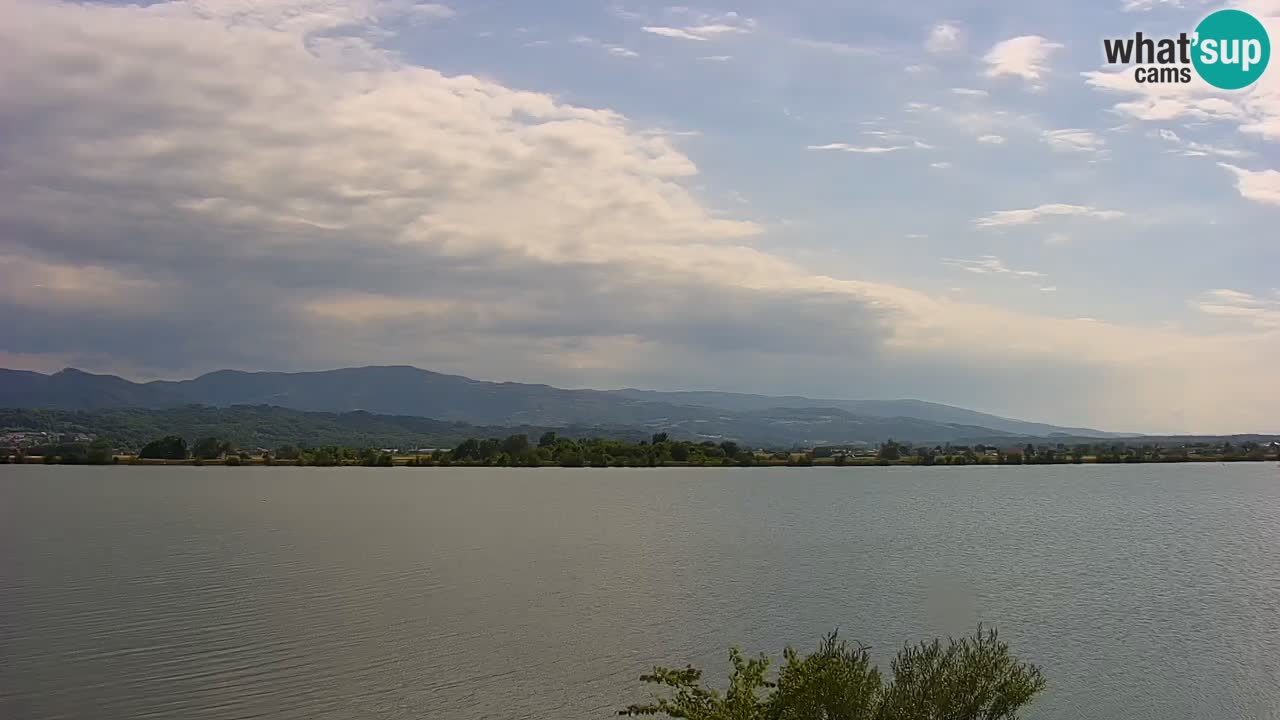 Live Webcam Brežice See am Fluss Sava – Slowenien
