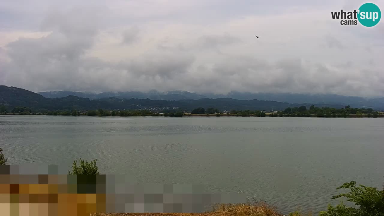 Live Webcam Brežice lake on Sava river – Slovenia