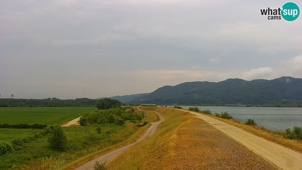 Live Webcam Brežice See am Fluss Sava – Slowenien
