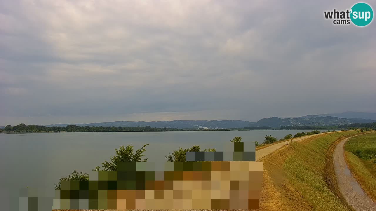 Spletna kamera v živo Brežiško jezero na reki Savi – Slovenija