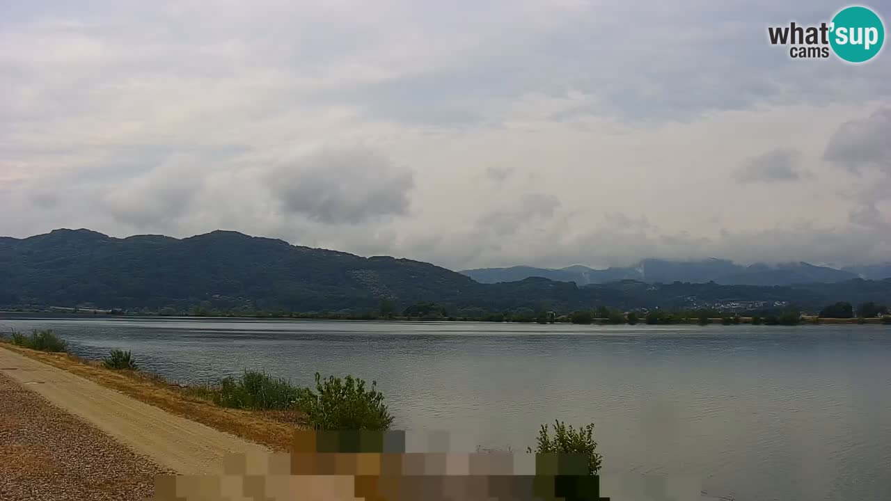 Live Webcam Brežice See am Fluss Sava – Slowenien