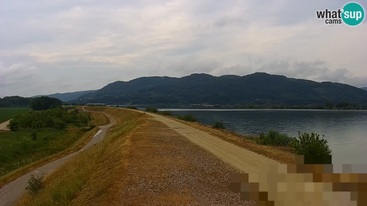Web kamera uživo Jezero Brežice na rijeci Savi – Slovenija