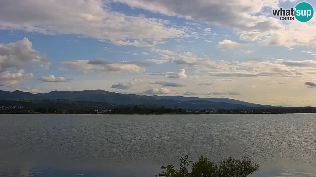Live Webcam Lago di Brežice sul fiume Sava – Slovenia