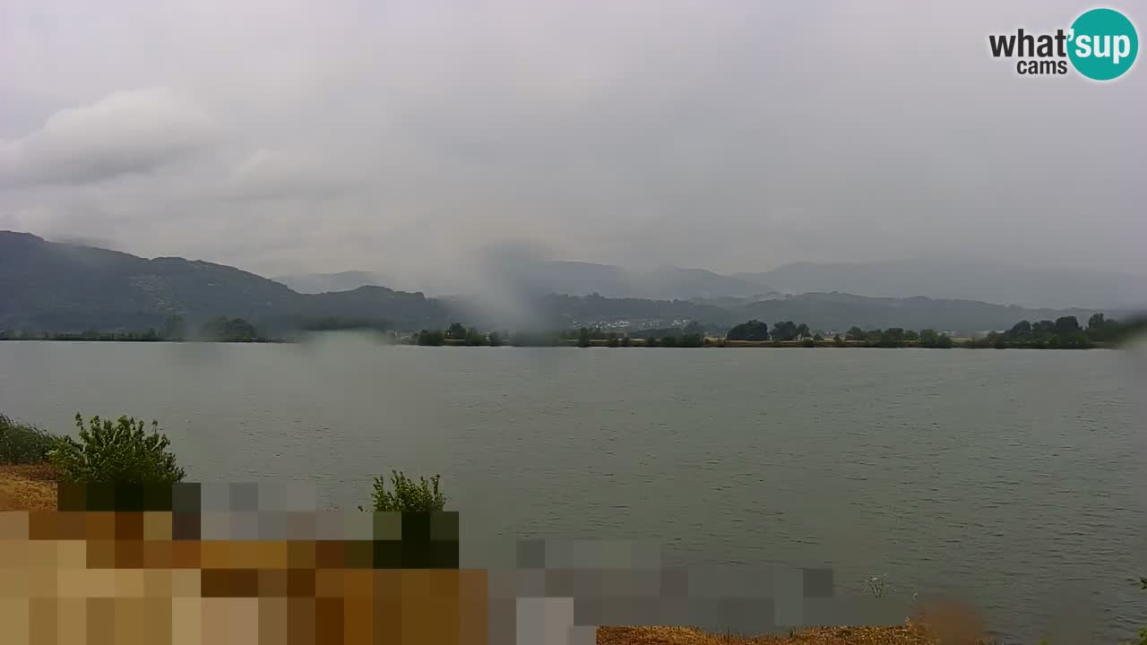 Web kamera uživo Jezero Brežice na rijeci Savi – Slovenija