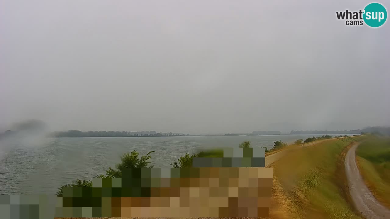 Webcam en vivo lago Brežice en el río Sava – Eslovenia