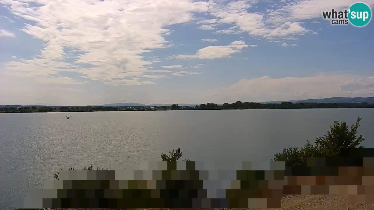 Live Webcam Brežice See am Fluss Sava – Slowenien