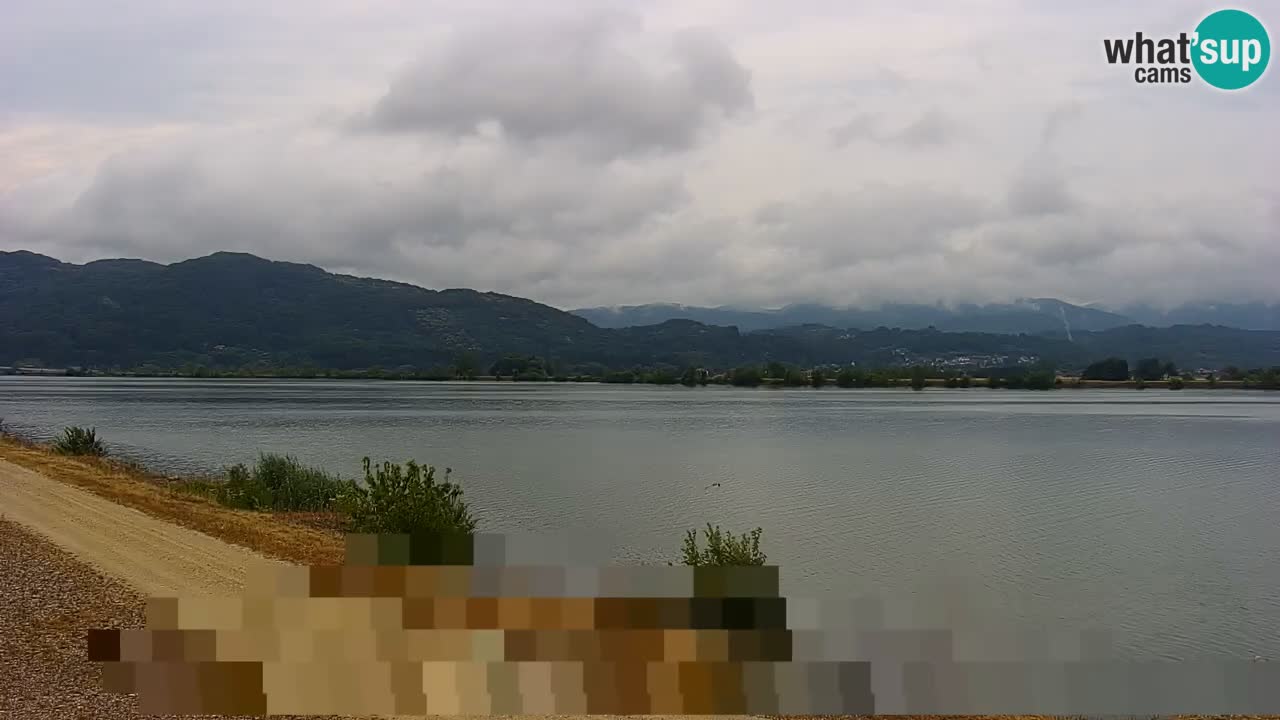 Live Webcam Lago di Brežice sul fiume Sava – Slovenia