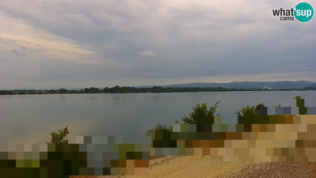 Live Webcam Lago di Brežice sul fiume Sava – Slovenia