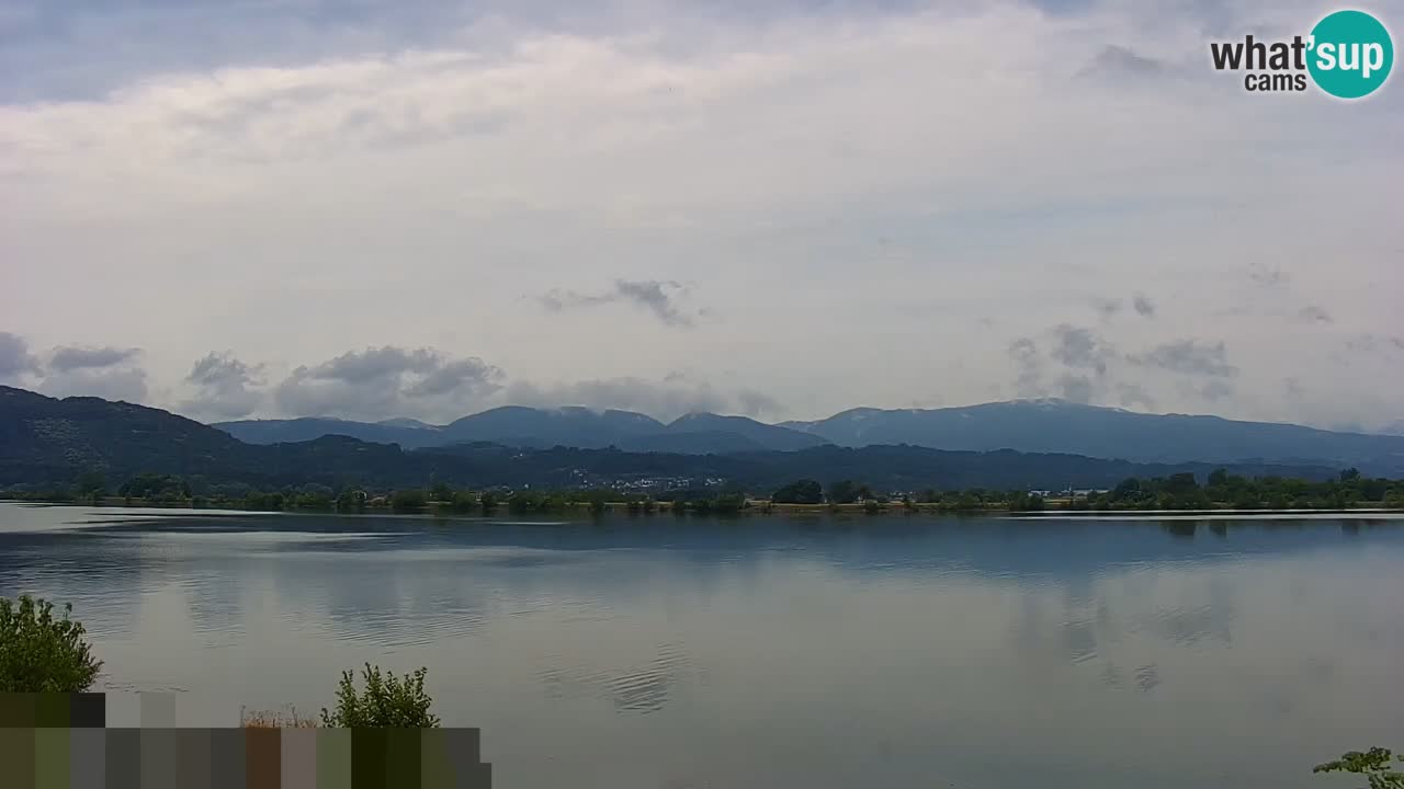 Webcam en direct Lac Brežice sur la rivière Sava – Slovénie