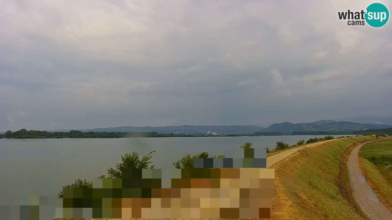 Webcam en direct Lac Brežice sur la rivière Sava – Slovénie