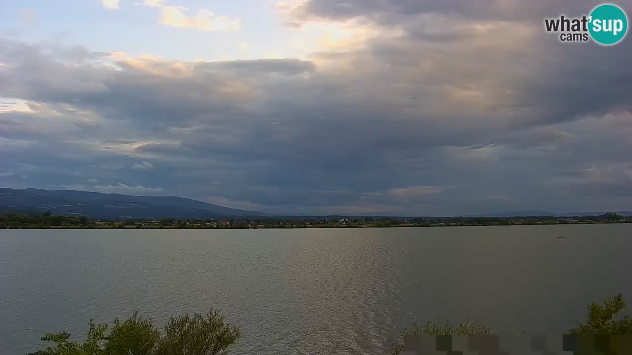 Live Webcam Brežice See am Fluss Sava – Slowenien