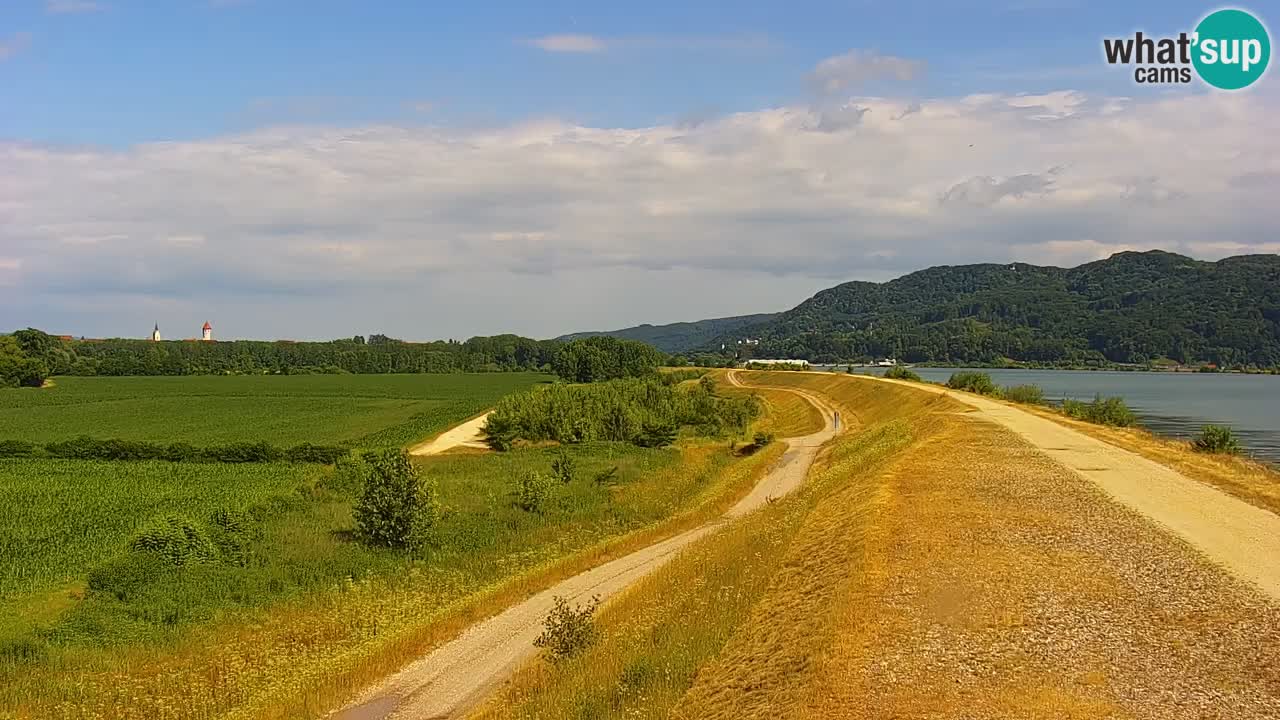 Spletna kamera v živo Brežiško jezero na reki Savi – Slovenija