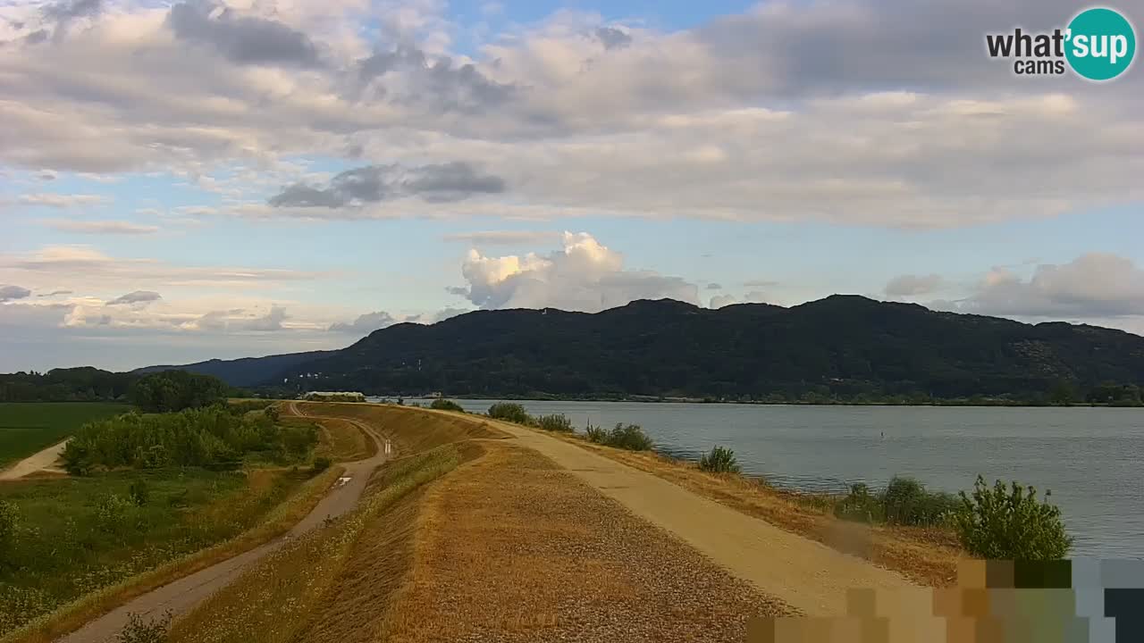 Web kamera uživo Jezero Brežice na rijeci Savi – Slovenija