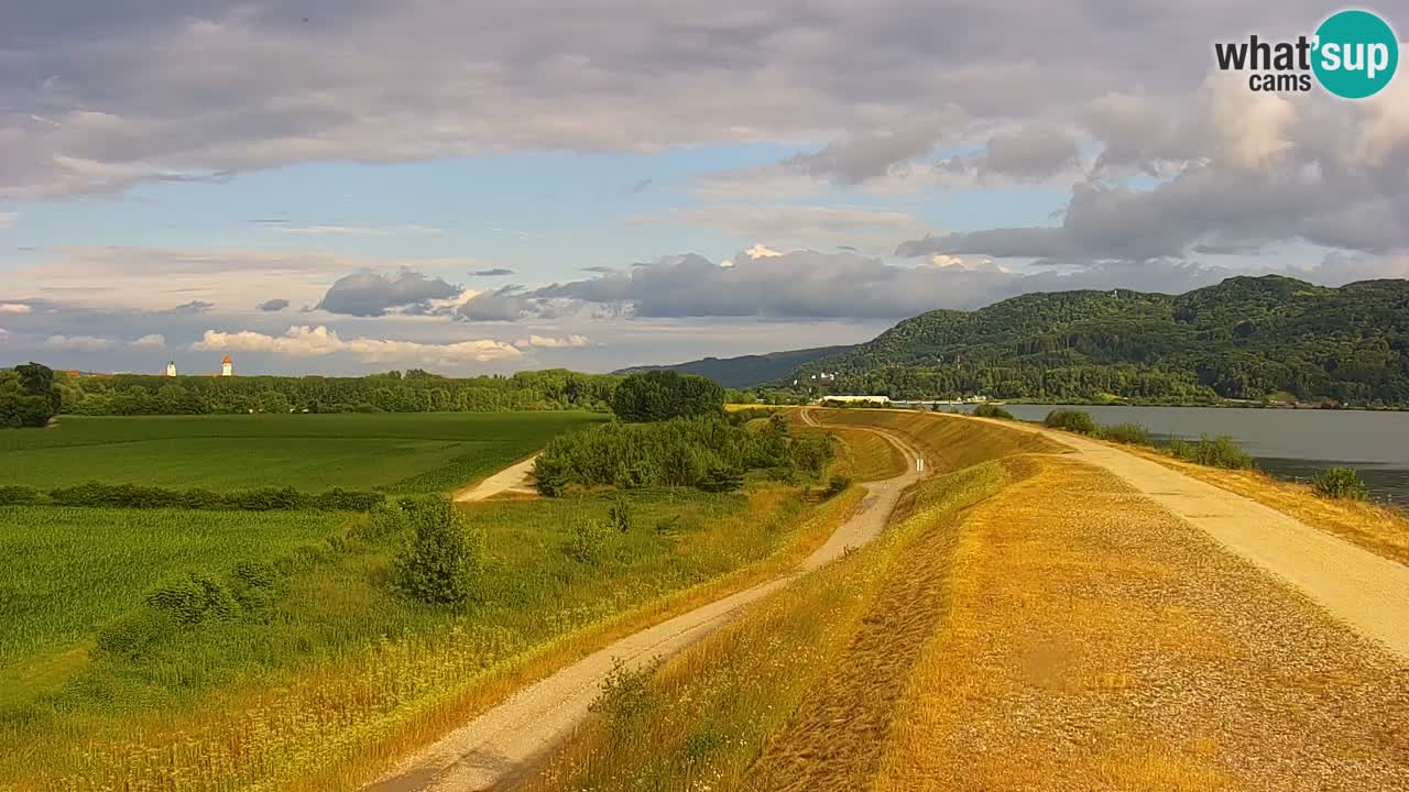 Spletna kamera v živo Brežiško jezero na reki Savi – Slovenija