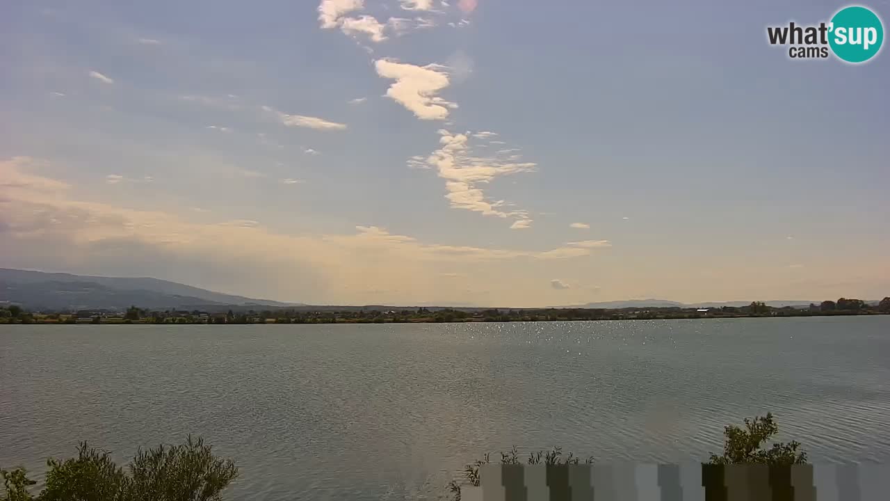 Webcam en direct Lac Brežice sur la rivière Sava – Slovénie