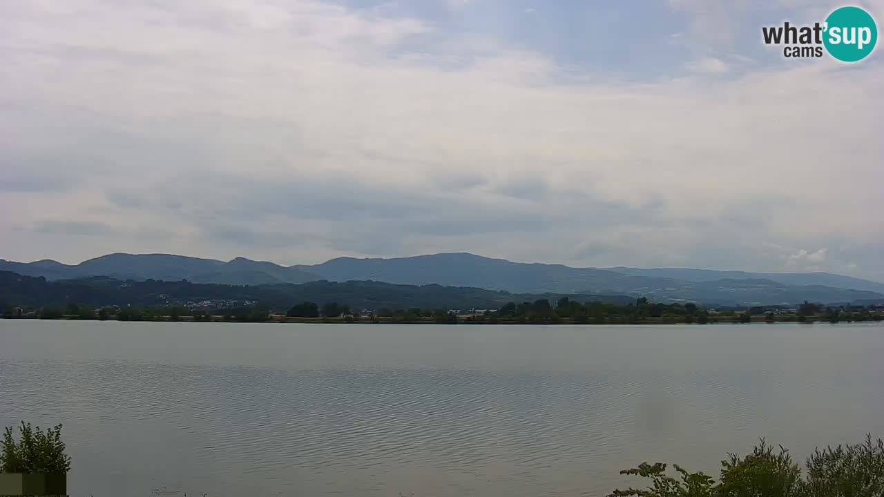 Live Webcam Lago di Brežice sul fiume Sava – Slovenia