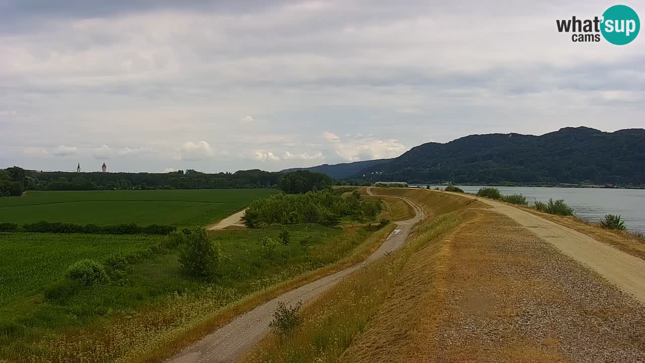 Live Webcam Brežice See am Fluss Sava – Slowenien