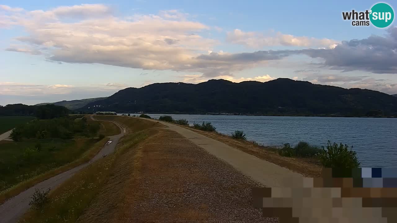 Webcam en direct Lac Brežice sur la rivière Sava – Slovénie