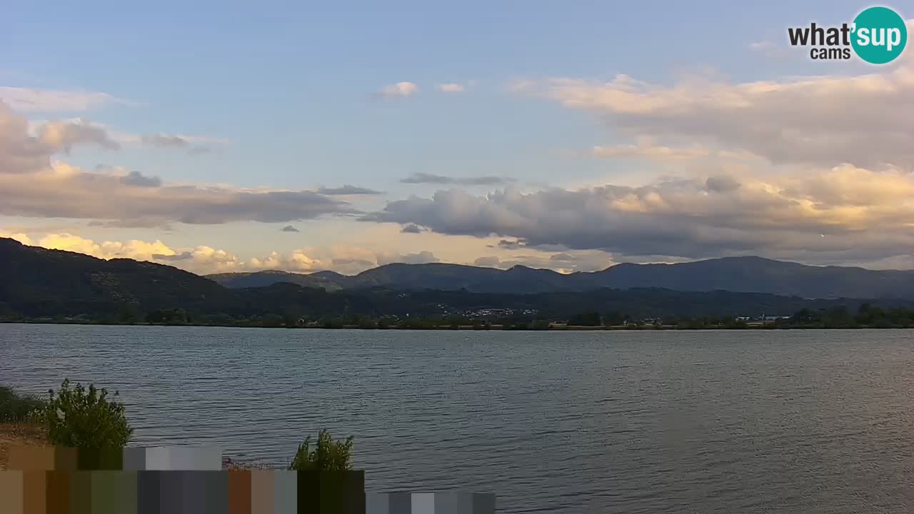 Webcam en direct Lac Brežice sur la rivière Sava – Slovénie