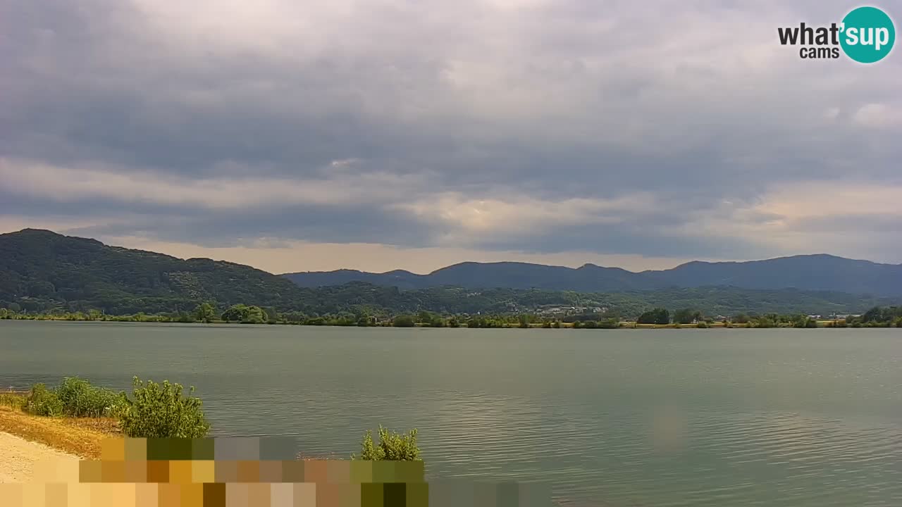 Webcam en direct Lac Brežice sur la rivière Sava – Slovénie