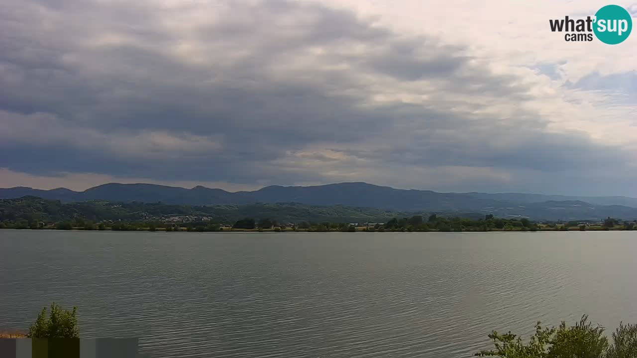 Live Webcam Brežice See am Fluss Sava – Slowenien