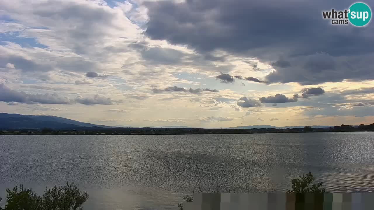Live Webcam Lago di Brežice sul fiume Sava – Slovenia