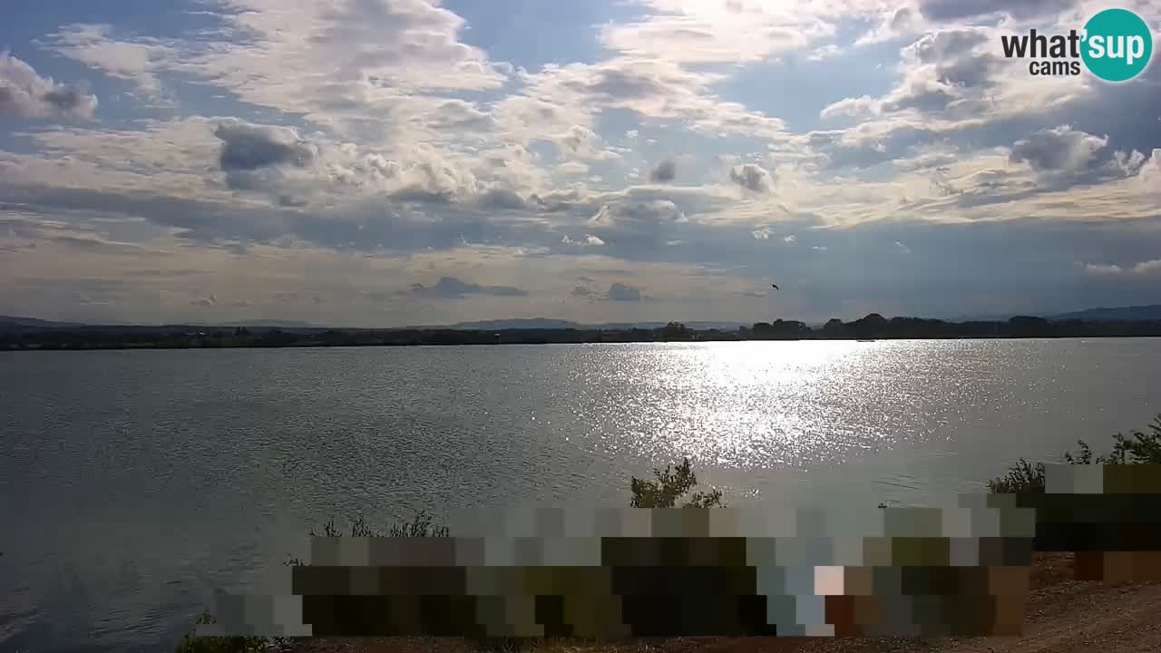 Webcam en direct Lac Brežice sur la rivière Sava – Slovénie