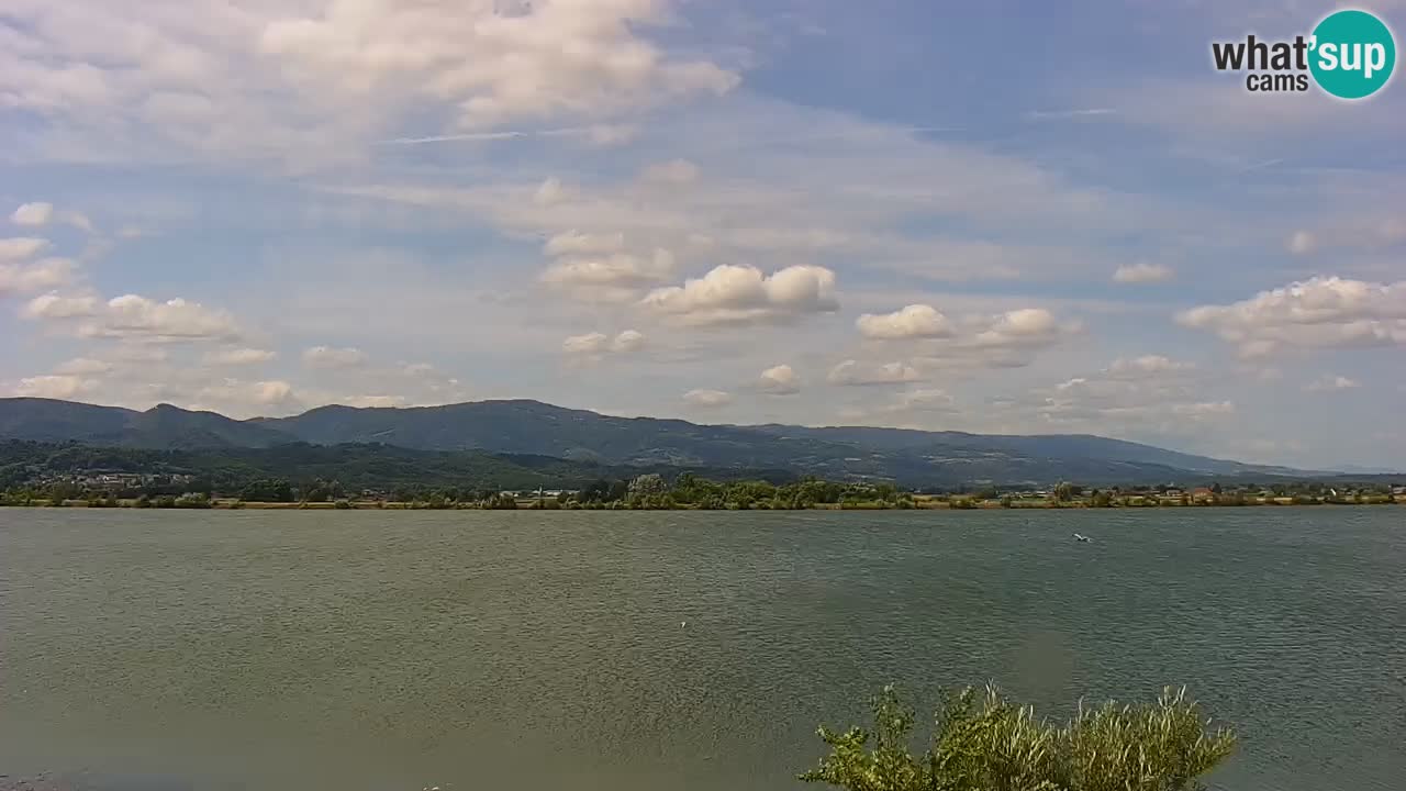 Live Webcam Brežice See am Fluss Sava – Slowenien