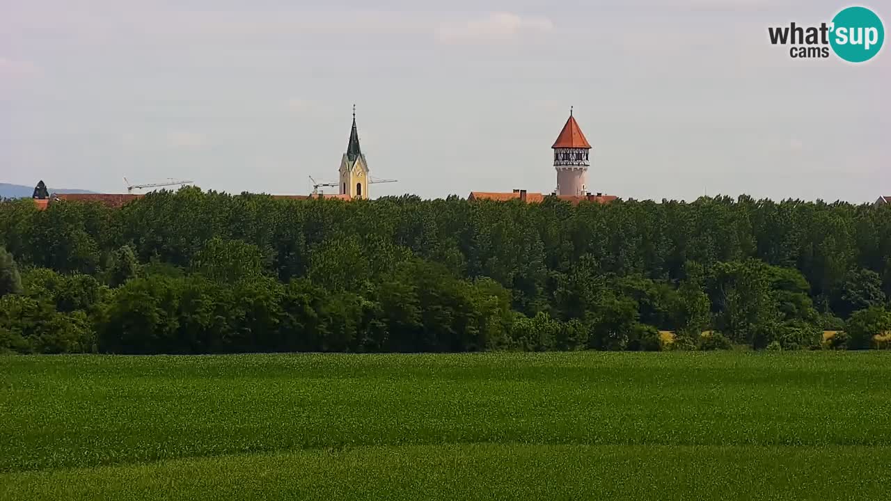 Live Webcam Brežice lake on Sava river – Slovenia