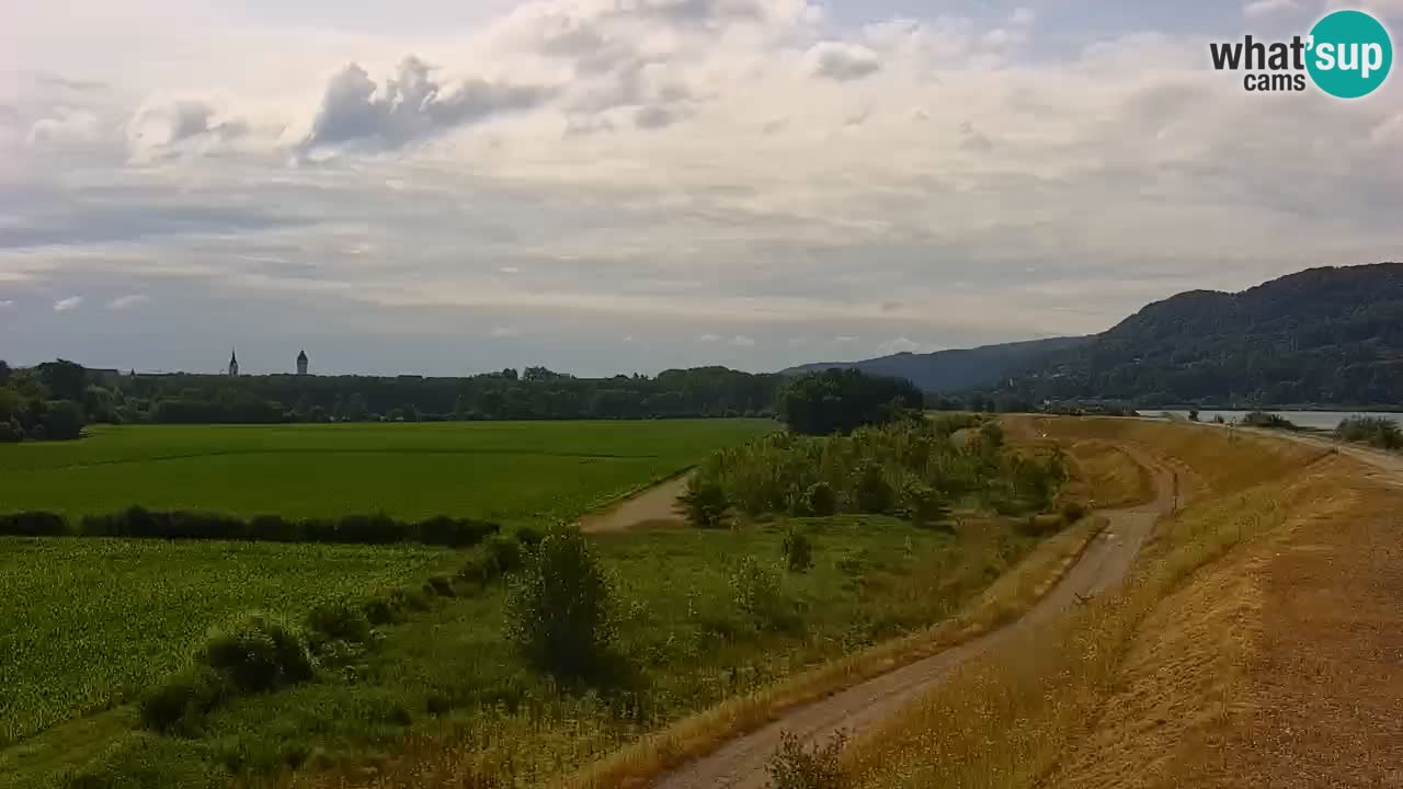 Webcam en direct Lac Brežice sur la rivière Sava – Slovénie
