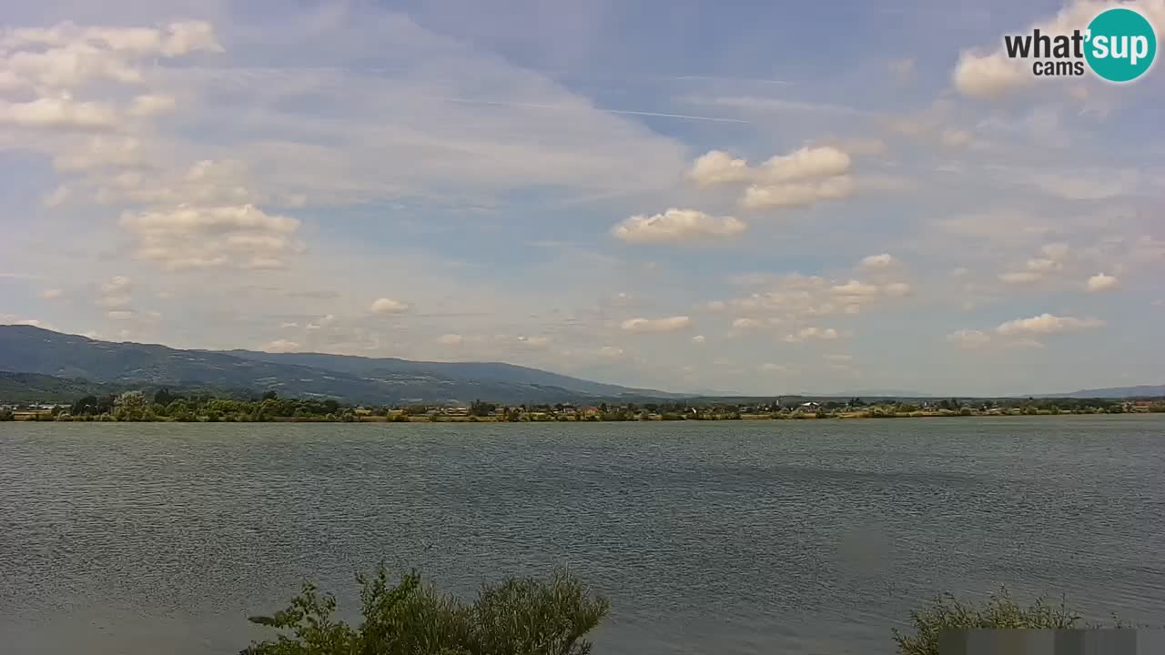 Spletna kamera v živo Brežiško jezero na reki Savi – Slovenija