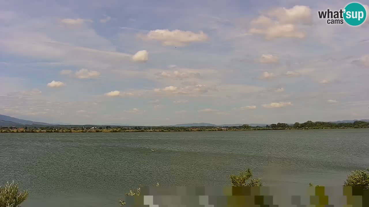 Webcam en vivo lago Brežice en el río Sava – Eslovenia
