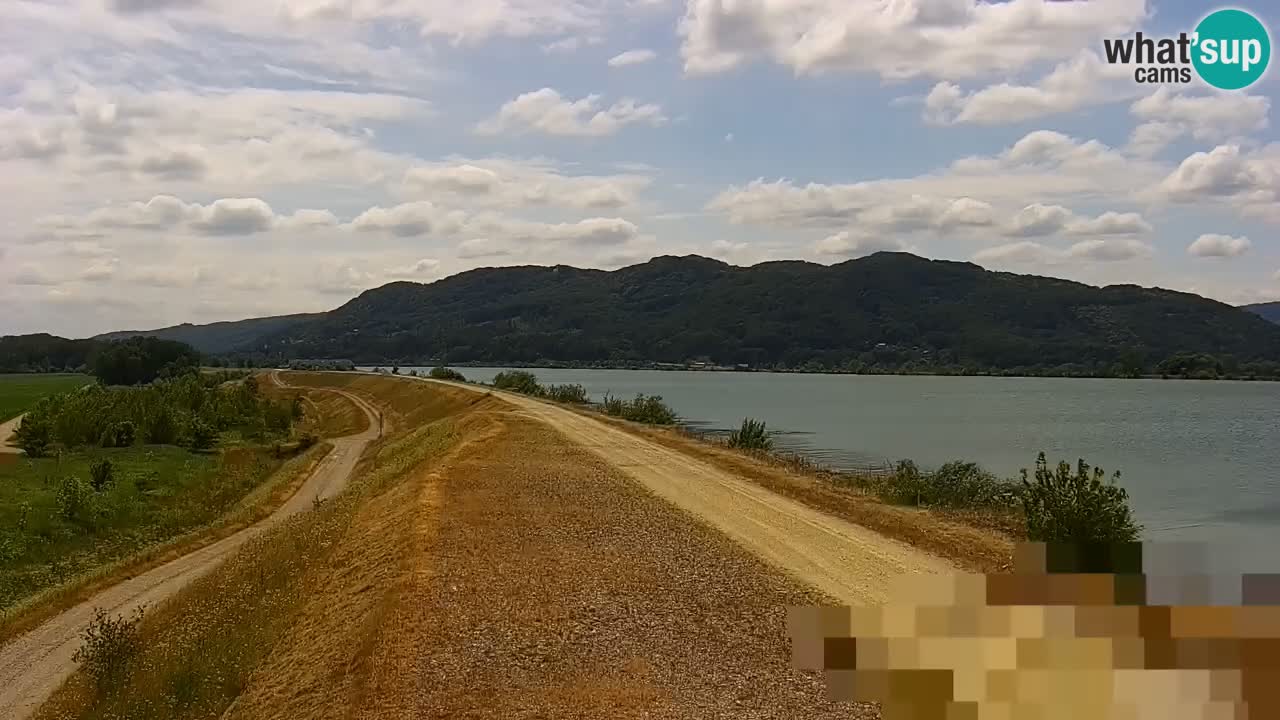 Spletna kamera v živo Brežiško jezero na reki Savi – Slovenija