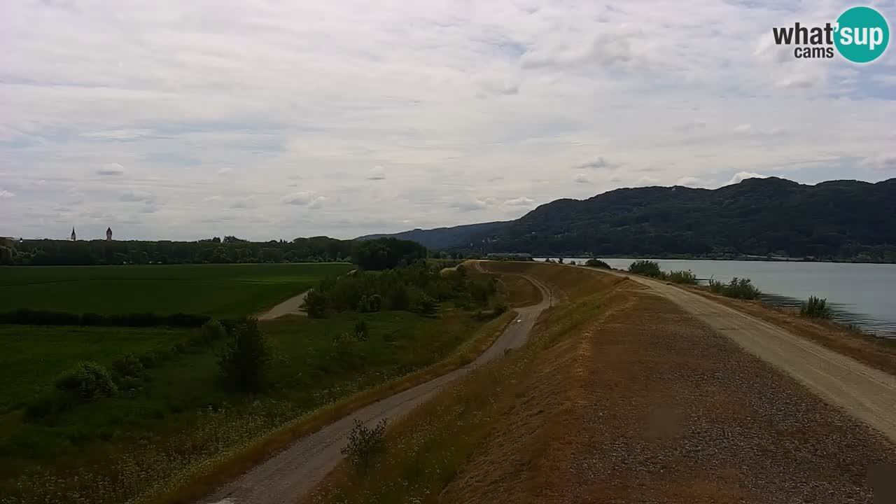 Spletna kamera v živo Brežiško jezero na reki Savi – Slovenija