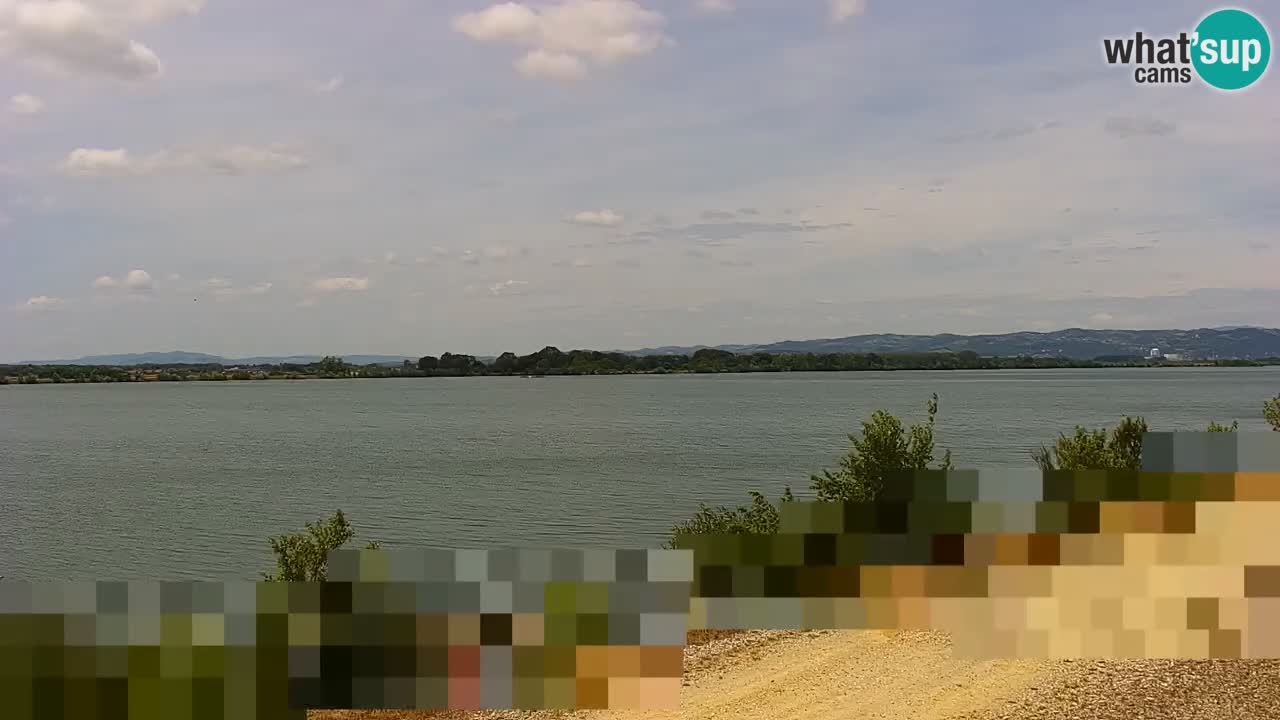 Spletna kamera v živo Brežiško jezero na reki Savi – Slovenija