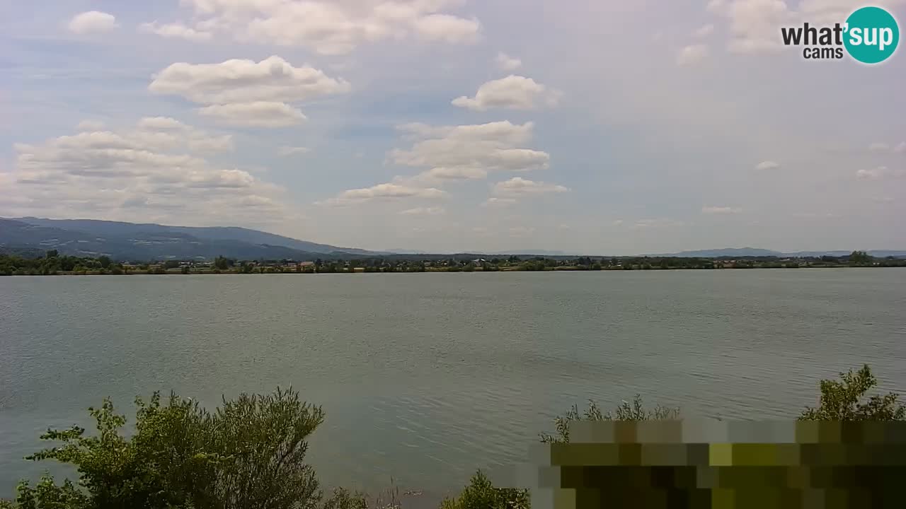 Web kamera uživo Jezero Brežice na rijeci Savi – Slovenija