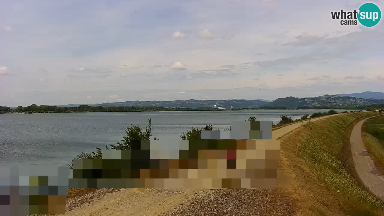 Webcam en vivo lago Brežice en el río Sava – Eslovenia