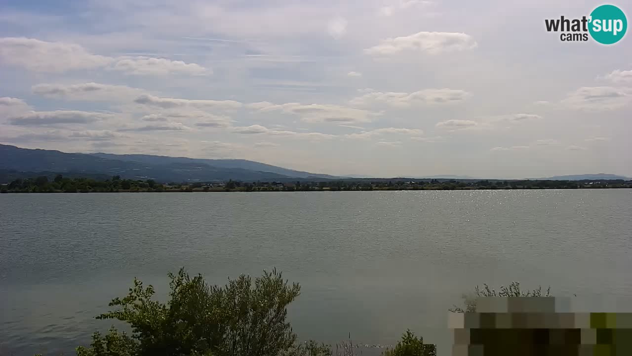 Live Webcam Brežice lake on Sava river – Slovenia
