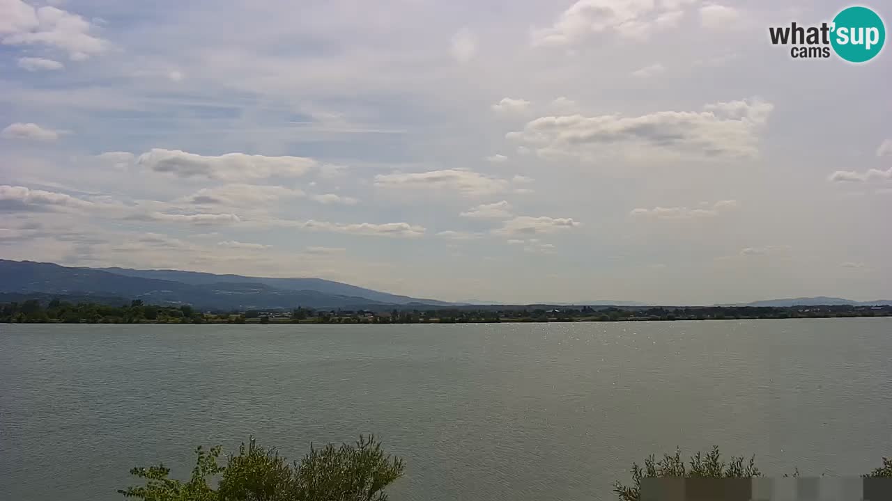 Live Webcam Brežice lake on Sava river – Slovenia
