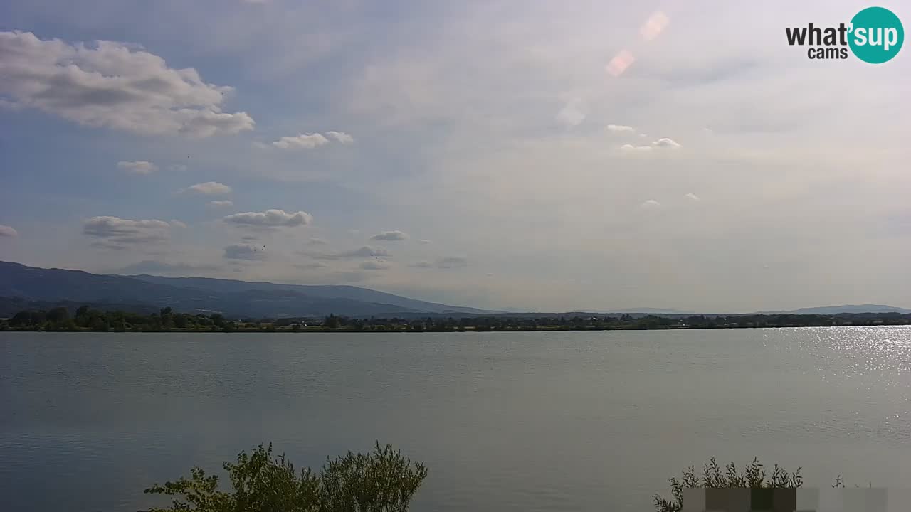 Web kamera uživo Jezero Brežice na rijeci Savi – Slovenija