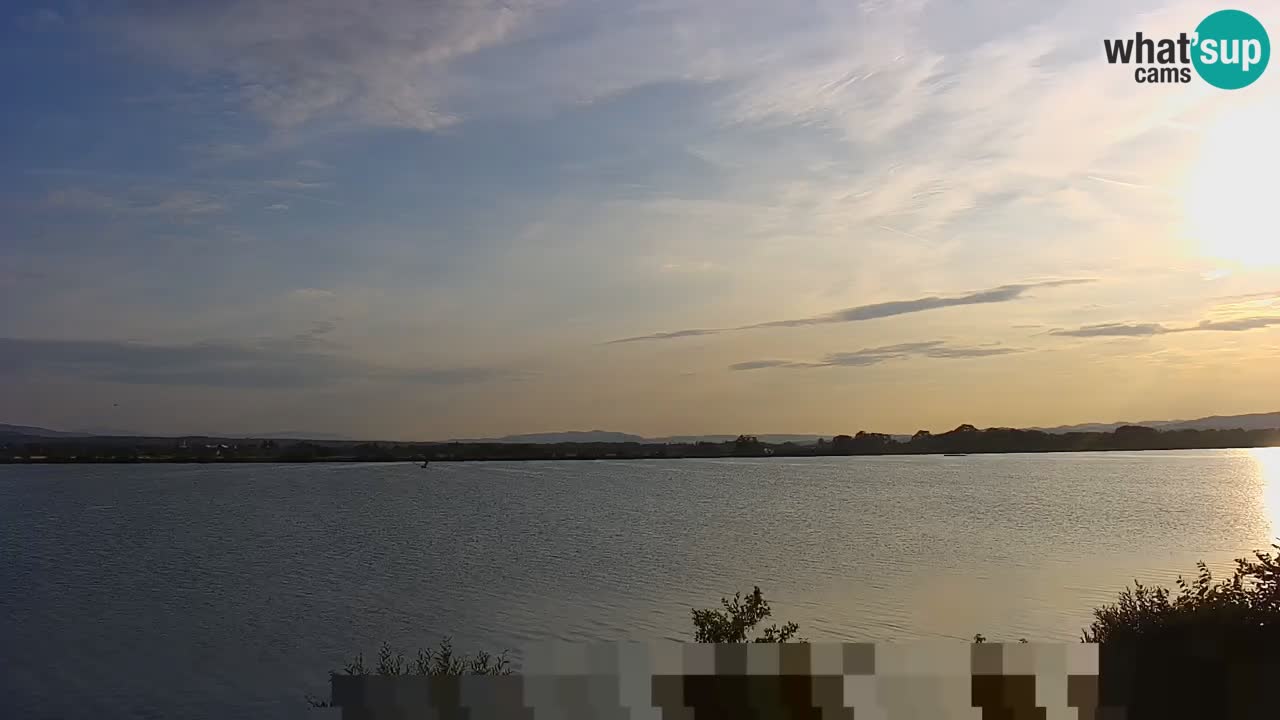 Live Webcam Brežice lake on Sava river – Slovenia