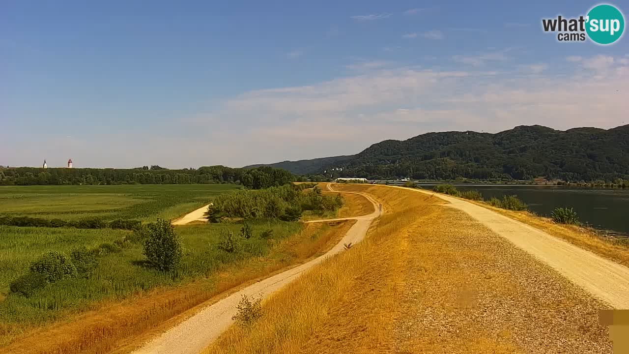 Web kamera uživo Jezero Brežice na rijeci Savi – Slovenija