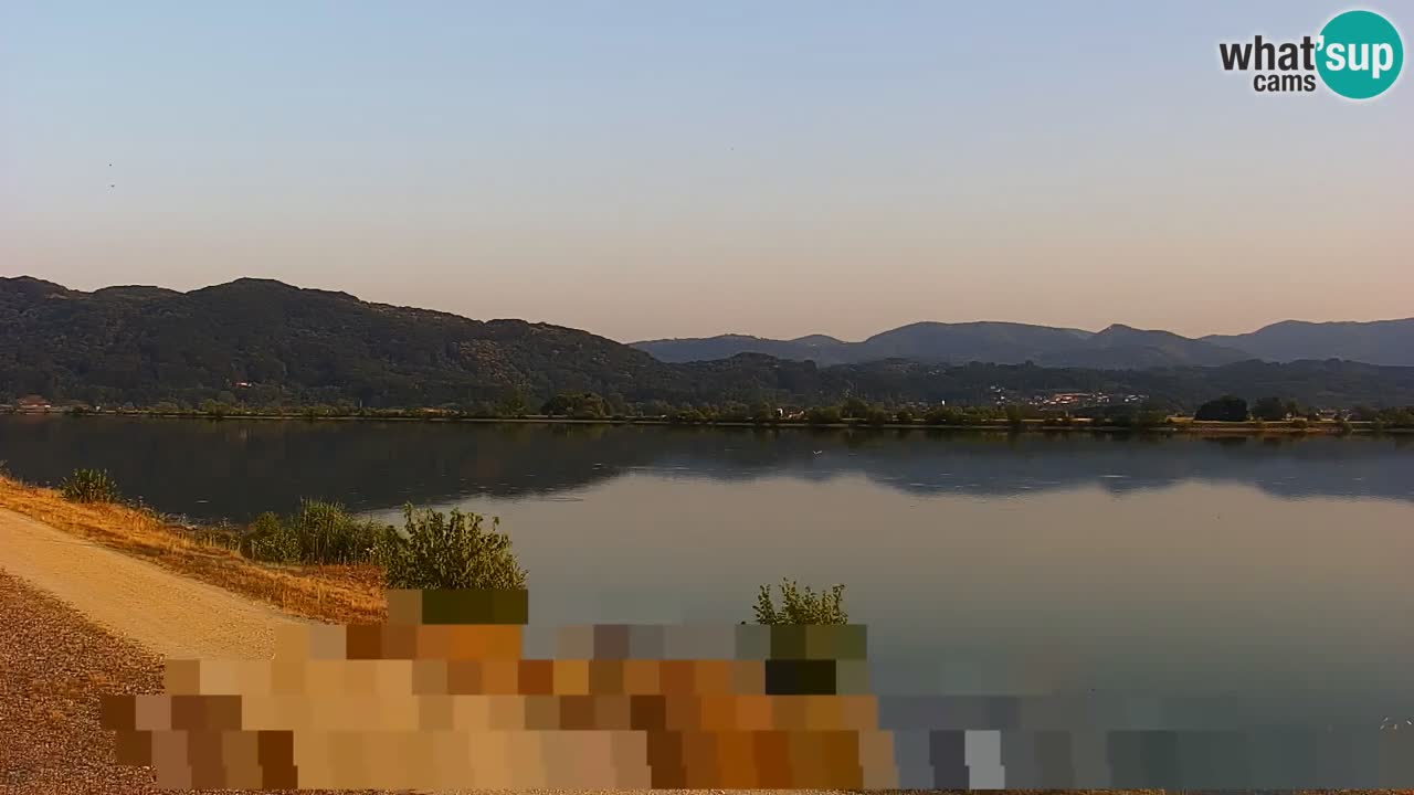 Webcam en direct Lac Brežice sur la rivière Sava – Slovénie