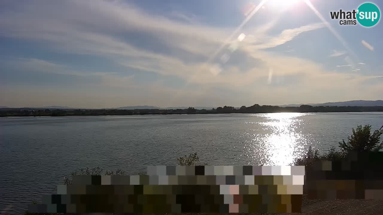 Live Webcam Lago di Brežice sul fiume Sava – Slovenia