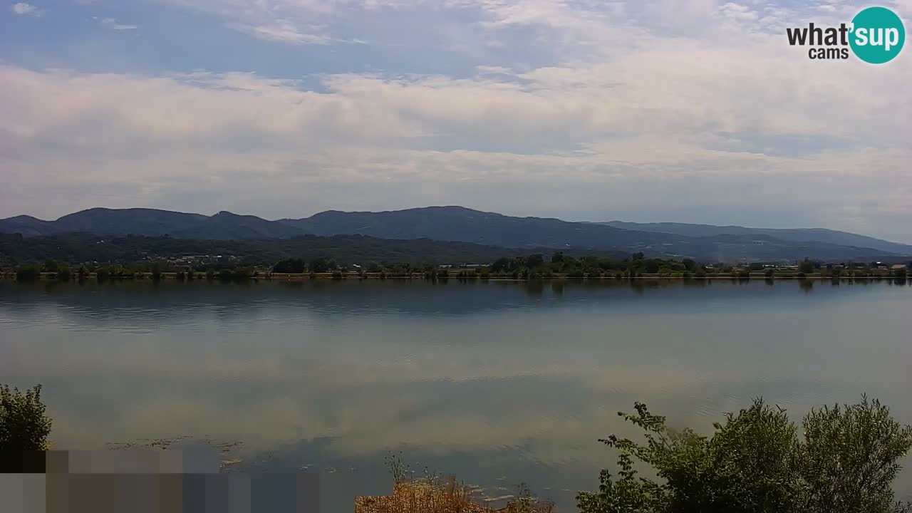 Spletna kamera v živo Brežiško jezero na reki Savi – Slovenija