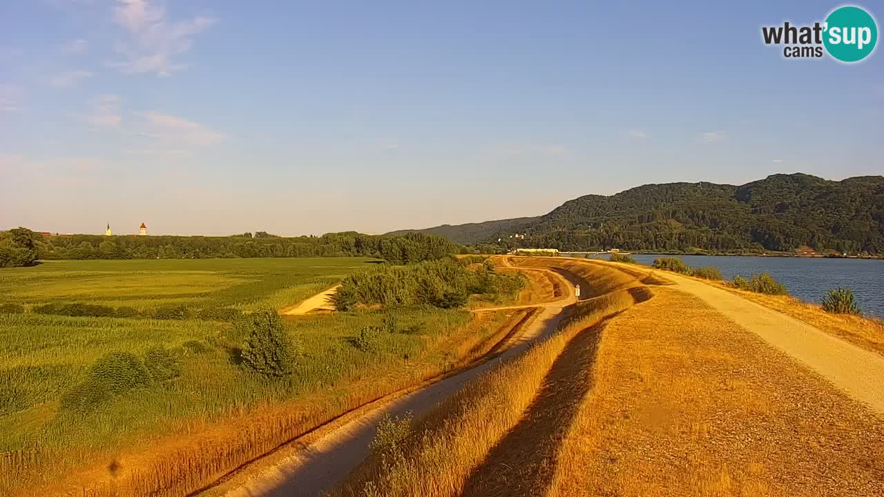 Webcam en direct Lac Brežice sur la rivière Sava – Slovénie