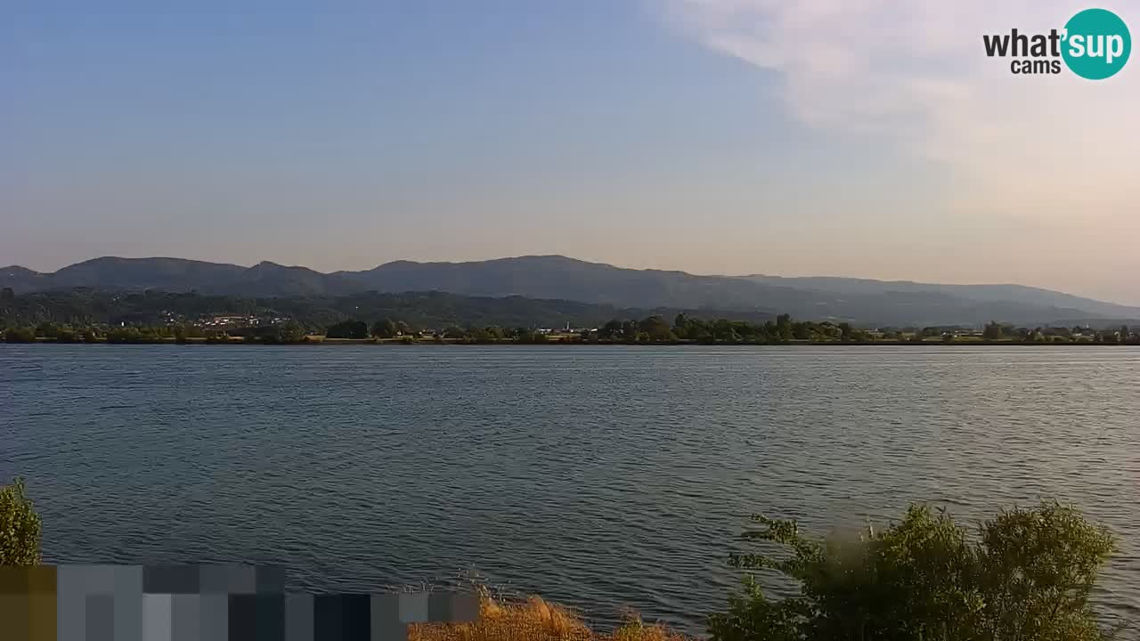 Webcam en direct Lac Brežice sur la rivière Sava – Slovénie